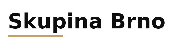 Skupina Brno logo